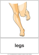 Bildkarte - legs.pdf